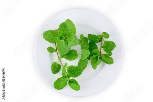 Fresh mints in a white plate