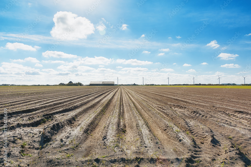 Empty field prepared for planting. Empty field prepared for planting.