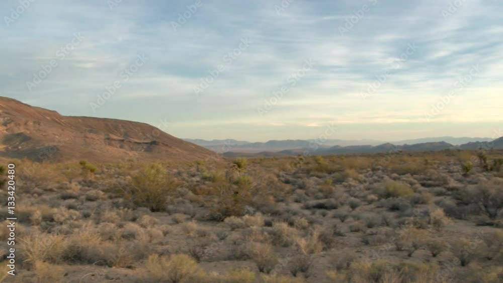Bone Dry Mojave Desert in Winter Bone Dry Mojave Desert in Winter