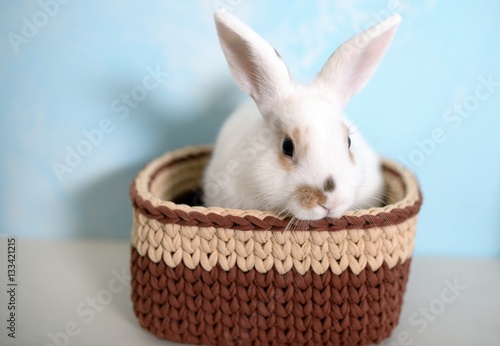 Easter rabbit in knitted basket