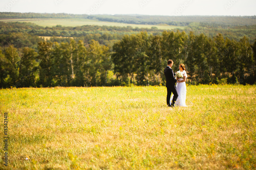 couple bride and groom on field background
