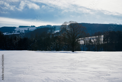 Kammerhof im Winter  Kammerhof in winter © Peter