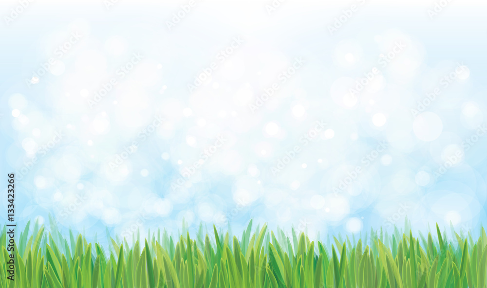 Vector  nature background, blue sky and green grass.