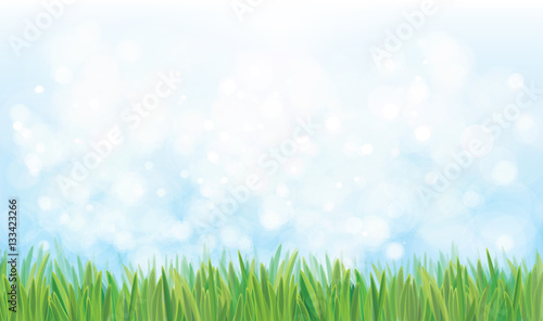 Vector nature background, blue sky and green grass.