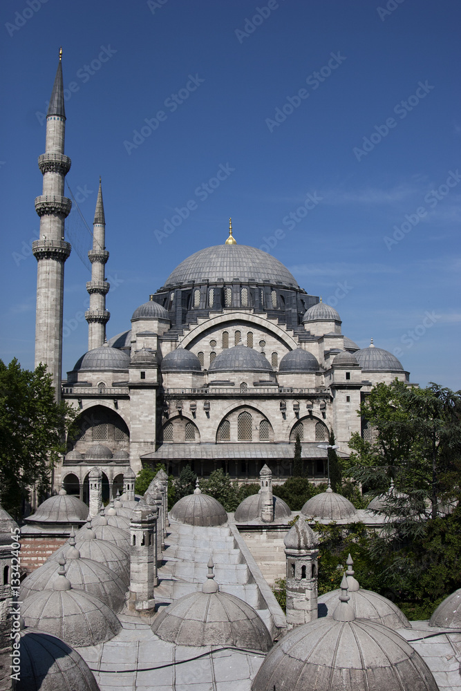 The beautiful Suleymaniye Camii Istanbul, Turkey.