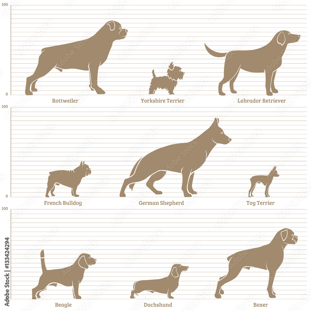 https stock adobe com tr search k rottweiler 20cartoon