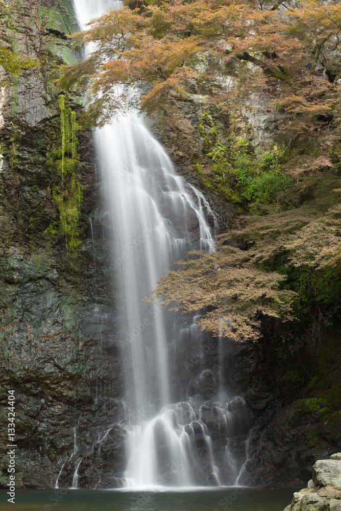 mino water fall