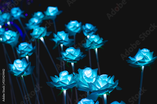 The flowers have a light night