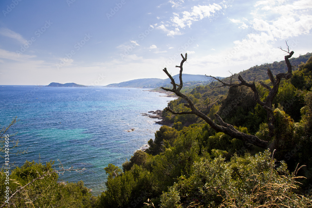 Côte d’Azur : Saint Tropez, Ramatuelle,Var, France Côte d’Azur : Saint Tropez, Ramatuelle,Var, France