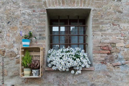 Obraz na płótnie Blumenschmuck an einem vergitterten Fenster w salonie