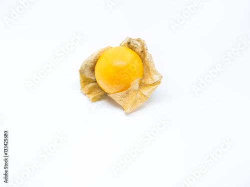 Closeup of Cape Gooseberry isolated on gray background