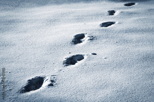 dark footprints walking on snow