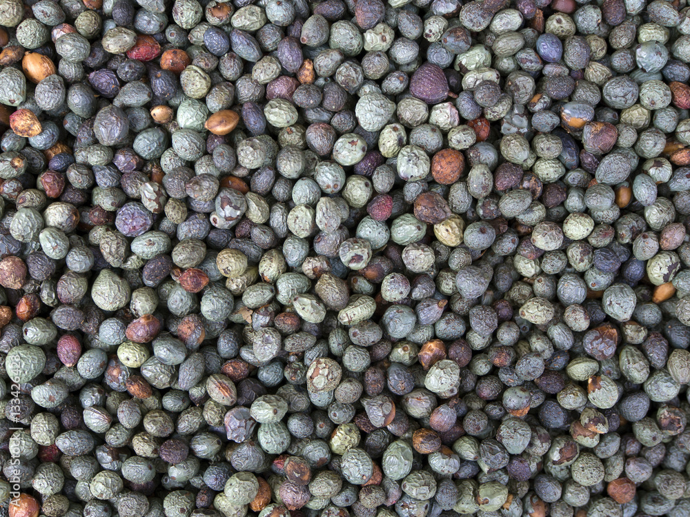Fruits of Terebinth, Pistacia terebinthus. Fruits of Terebinth, Pistacia terebinthus.