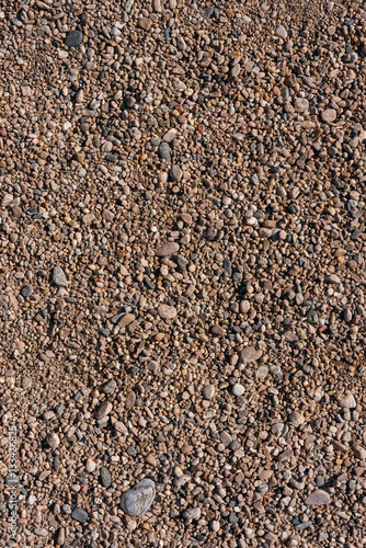 Pebbles is in the desert.