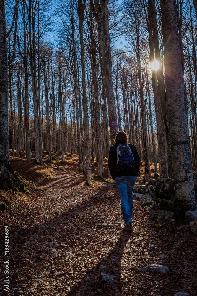 Cansiglio, Veneto, Italy; 2016 - 12 30: lonely autumnal walking Cansiglio, Veneto, Italy; 2016 - 12 30: lonely autumnal walking
