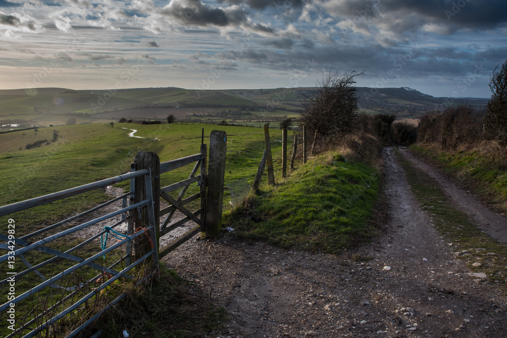 Gate and track, South Downs Way