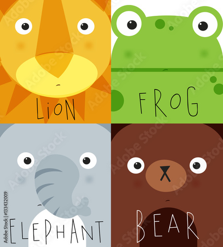 Animal muzzles lion, frog, elephant, bear