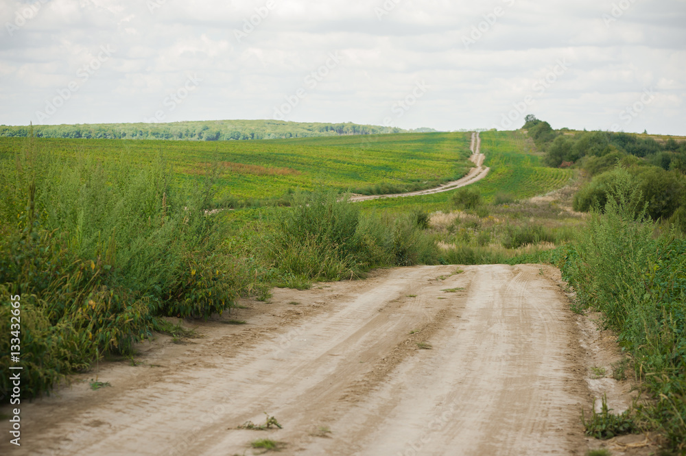 Fototapeta premium Road through the field