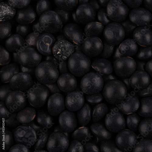 black lentils close up