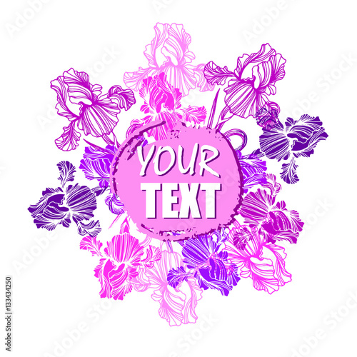 Fototapeta Naklejka Na Ścianę i Meble -  flower, iris, nature, floral, plant, vector, summer