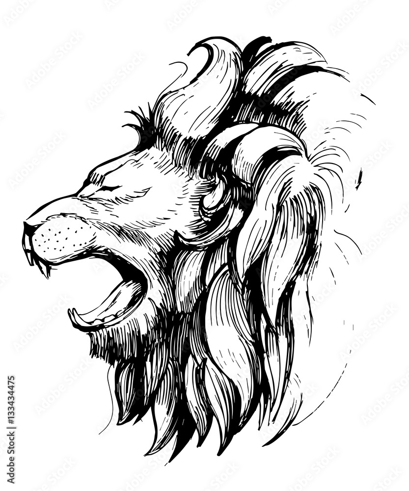 Naklejka Lion head