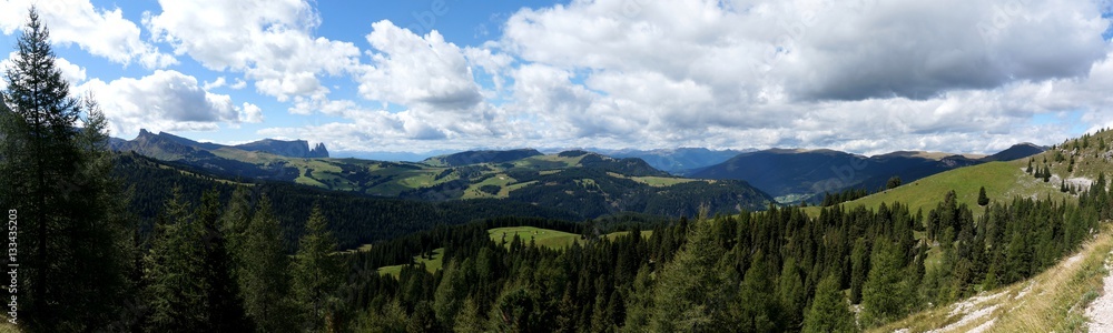 Blick über den Ochsenwald ins Grödner Tal