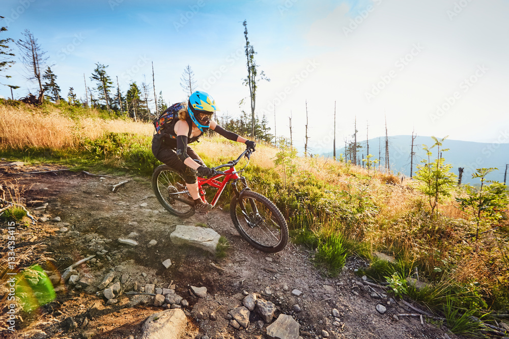 Naklejka premium female mountain biker riding downhill on MTB bike