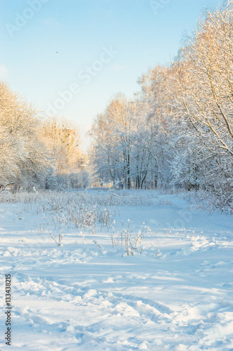 Winter landscape © thaarey1986