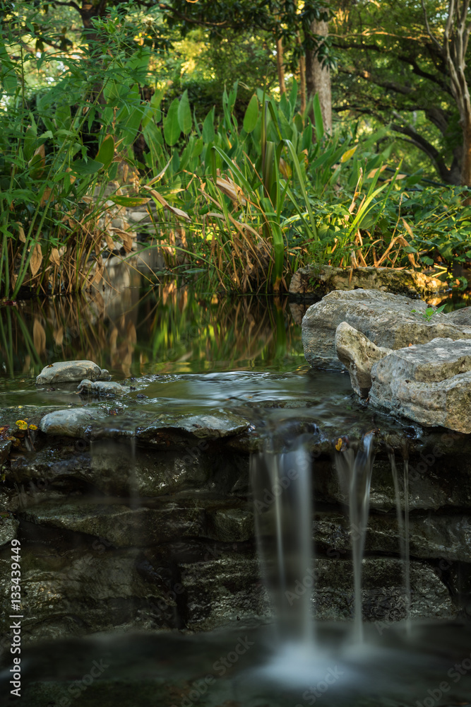 Upper pond at Zilker Gardens, Austin, TX Upper pond at Zilker Gardens, Austin, TX
