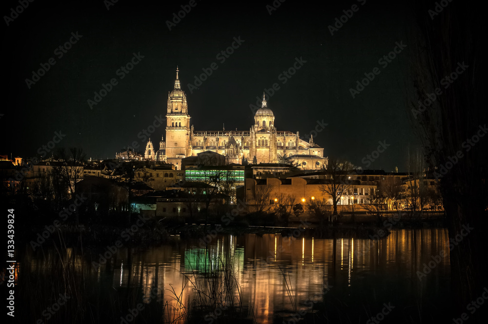 Obraz premium katedra, salamanka,