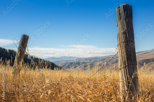 Fence Posts