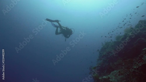 Wallpaper Mural Scuba diver explores underwater coral reef and watching the fish.Scuba diver underwater in a tropical sea.Tropical fish on a coral reef. Diving and snorkeling in the tropical sea. 4K video. Torontodigital.ca