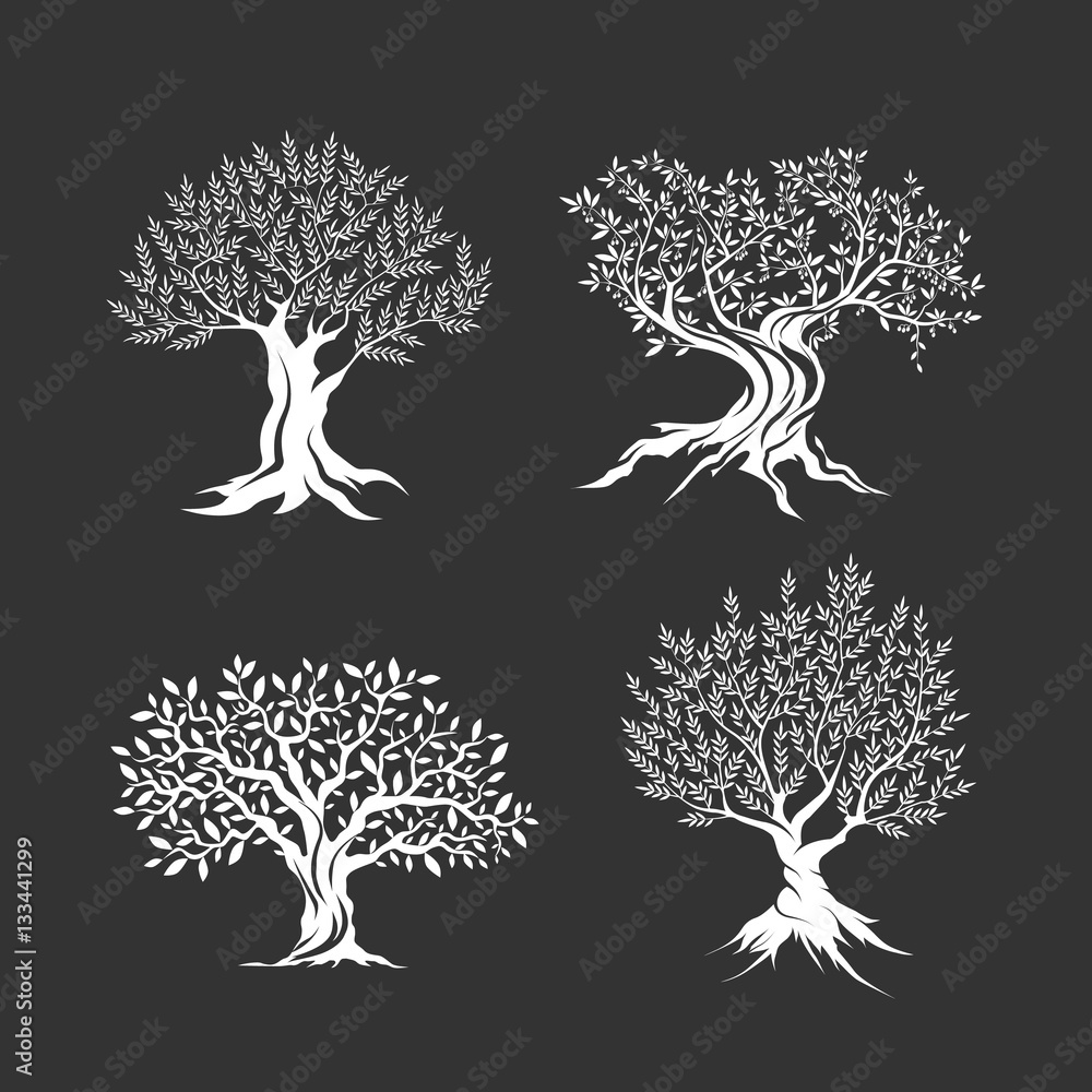Naklejka premium Olive trees silhouette icon set isolated
