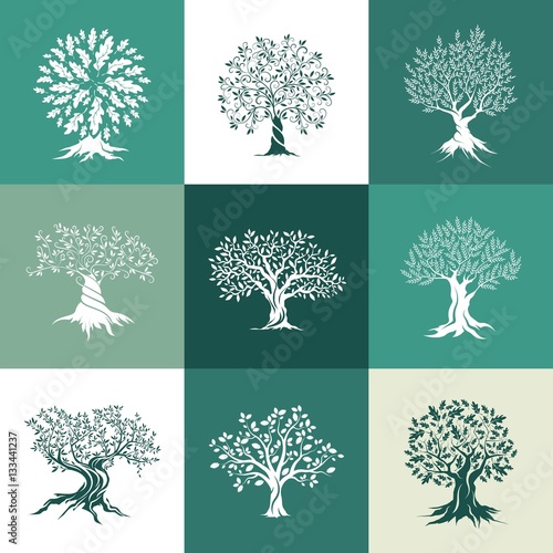 olive and oak trees silhouette isolated on color background