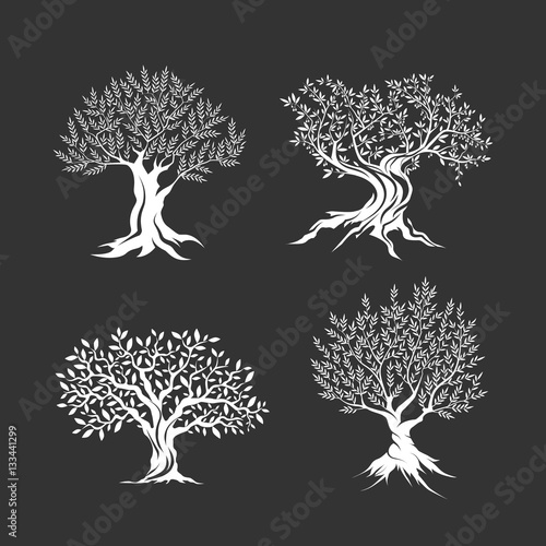 Olive trees silhouette icon set isolated