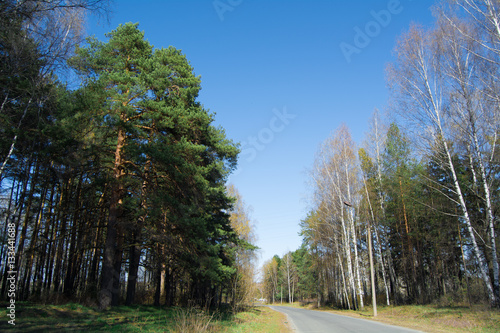 road to the park