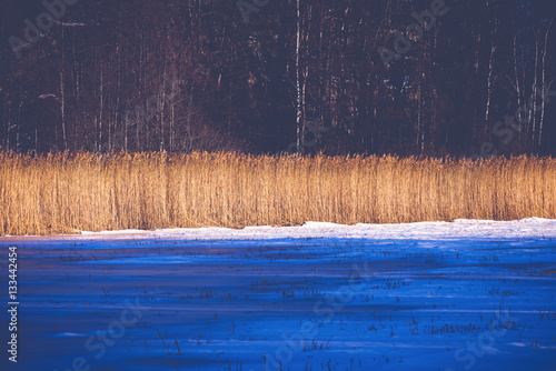 Icy lake shore with orange ...