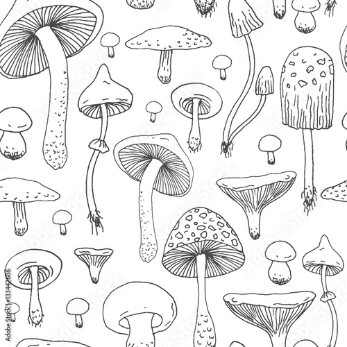 Seamless pattern with Forest mushrooms - vector outline hand drawn sketch. Collection of different mushrooms with roots, real eatable and poisoned boletus