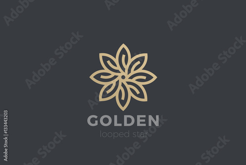Gold Star Flower Logo Infinity loop. Luxury Jewelry Fashion icon
