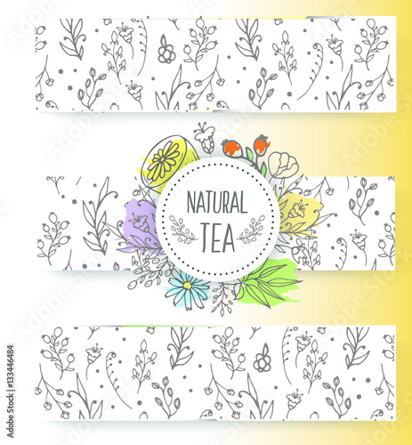 Herbal tea banners collection. Organic herbs and wild flowers. Hand sketched fruits berries illustration.