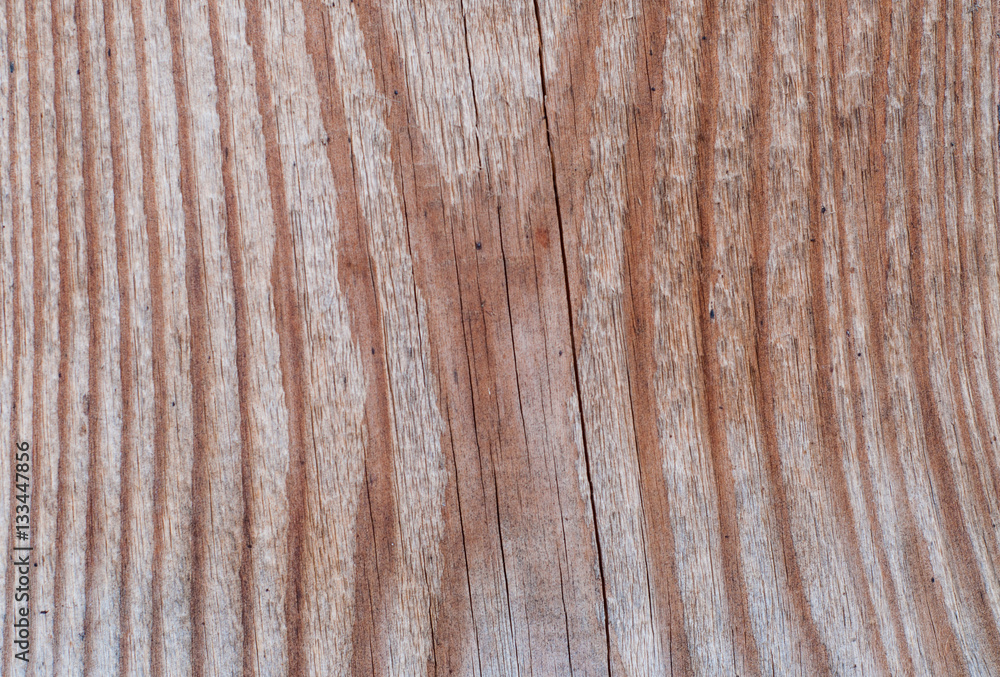 Fototapeta premium wood texture