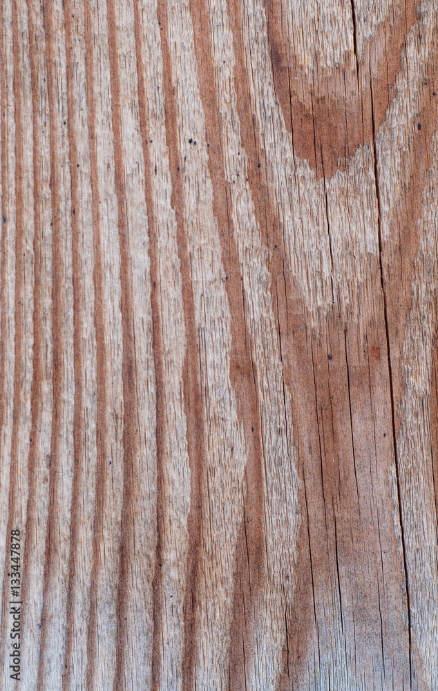 Obraz premium wood texture