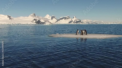 Penguins on Melting Ice Floe
