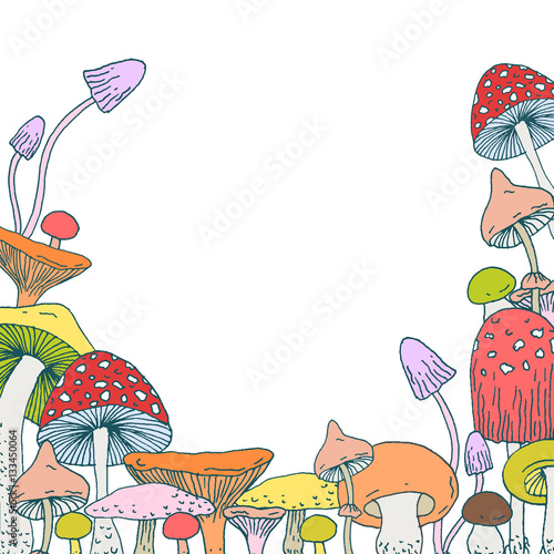 Set of decorative Forest mushrooms - vector hand drawn sketch. Collection of different mushrooms with roots, real eatable and poisoned boletus. Decorative frame design