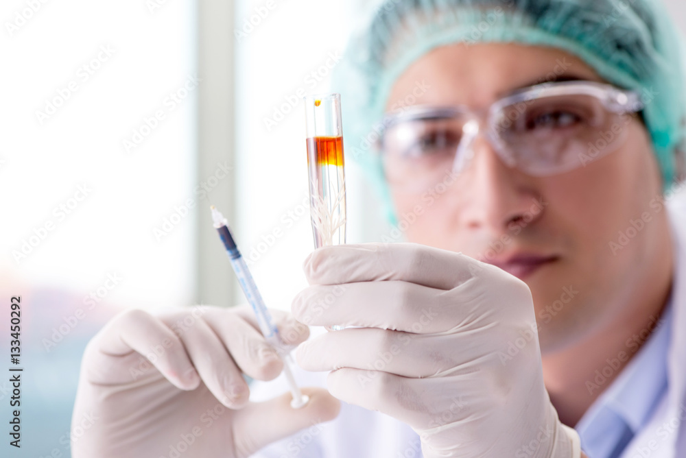 Young scientist working in the lab Young scientist working in the lab