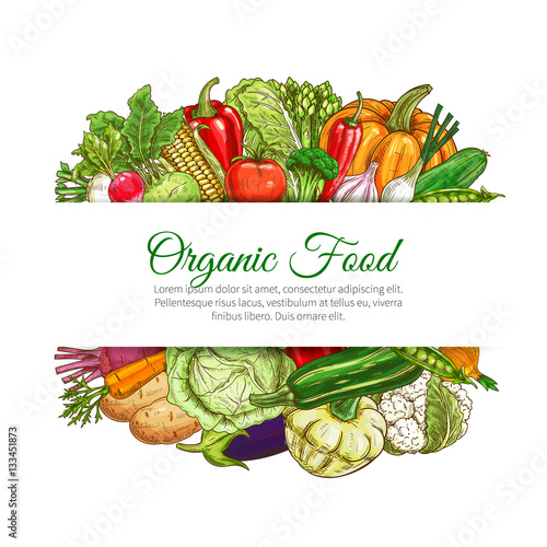 Organic food vegetables harvest vector poster