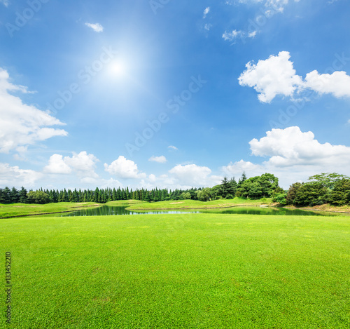 field of green grass and blue sky in summer day