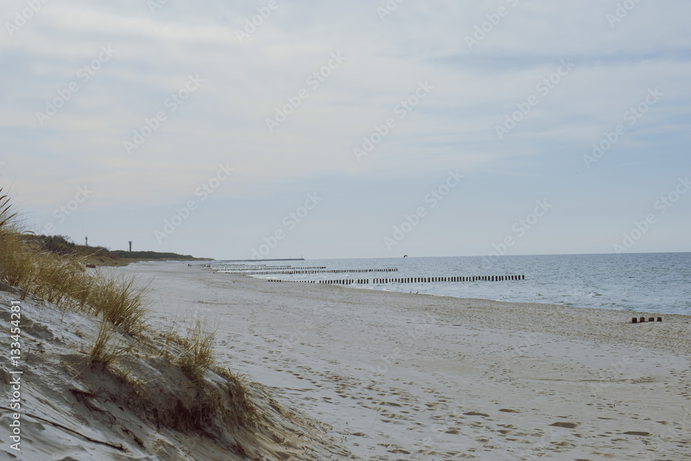 sunny beach with sand dunes