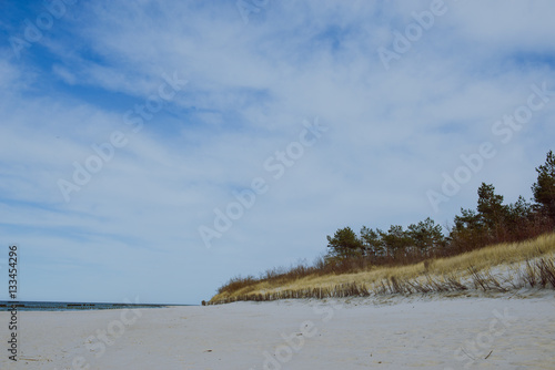 sunny beach with sand dunes