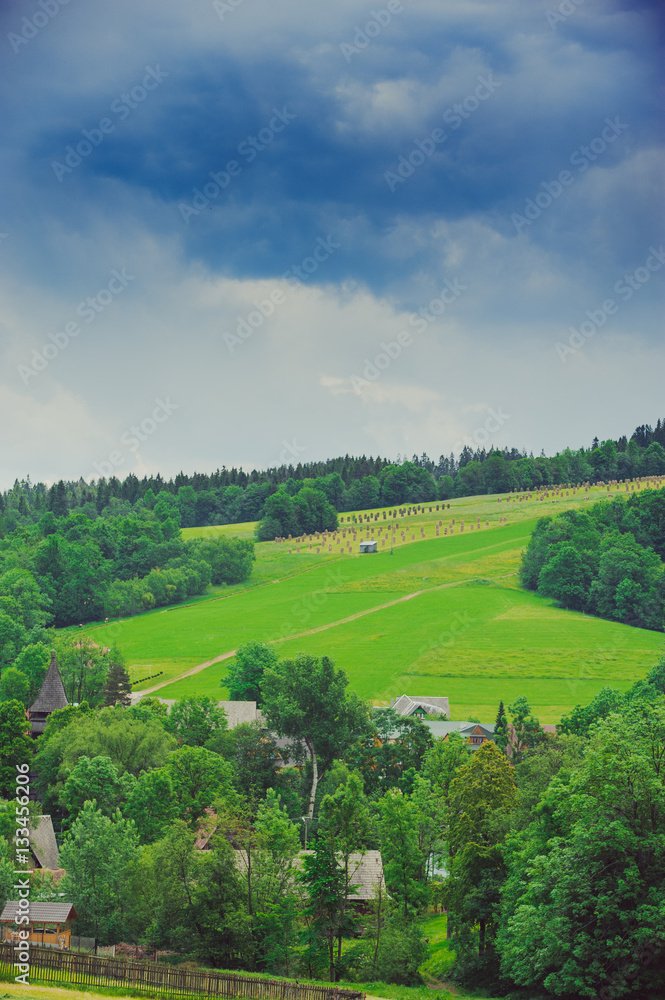 Hills covered with green grass under blue sky Hills covered with green grass under blue sky